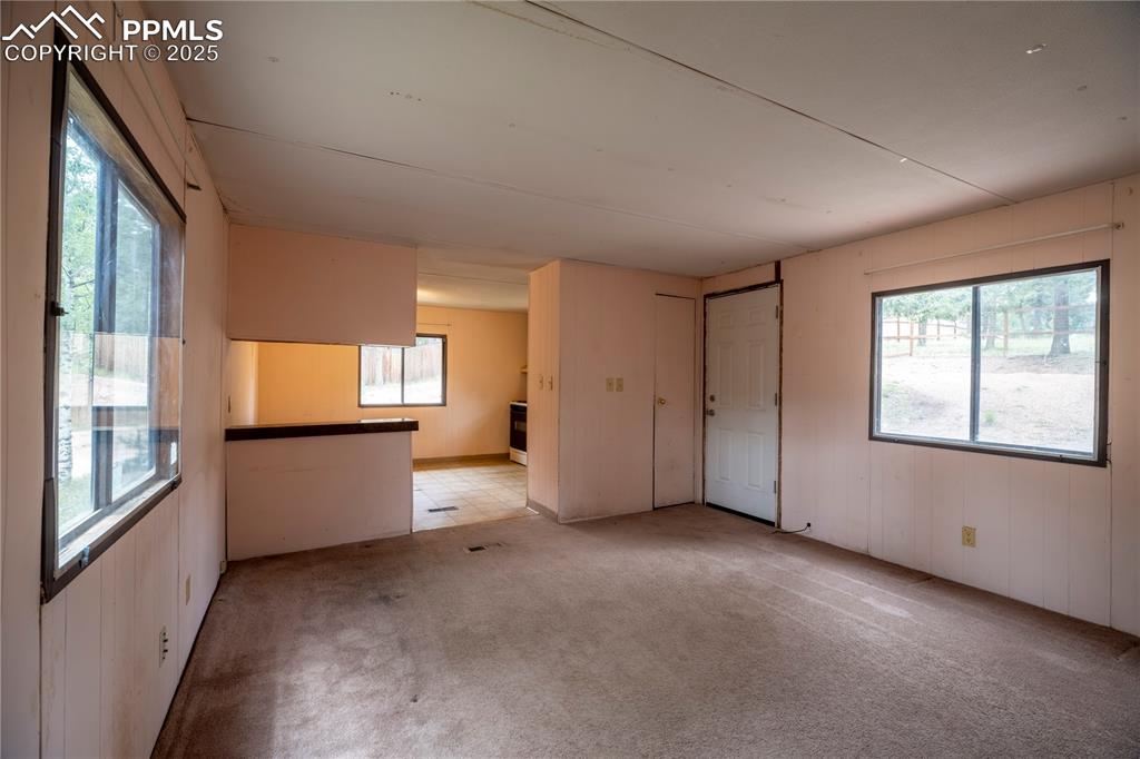 310 Blossom Road Woodland Park CO 80863