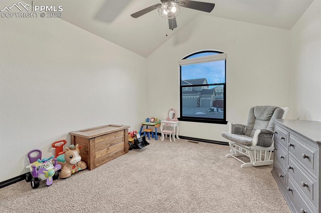 10775 Shavano Peak Court Peyton CO 80831