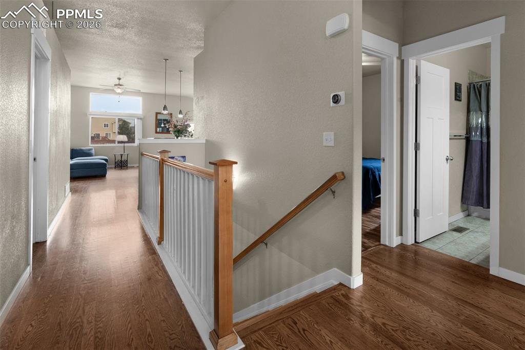10442 Abrams Drive Colorado Springs CO 80925