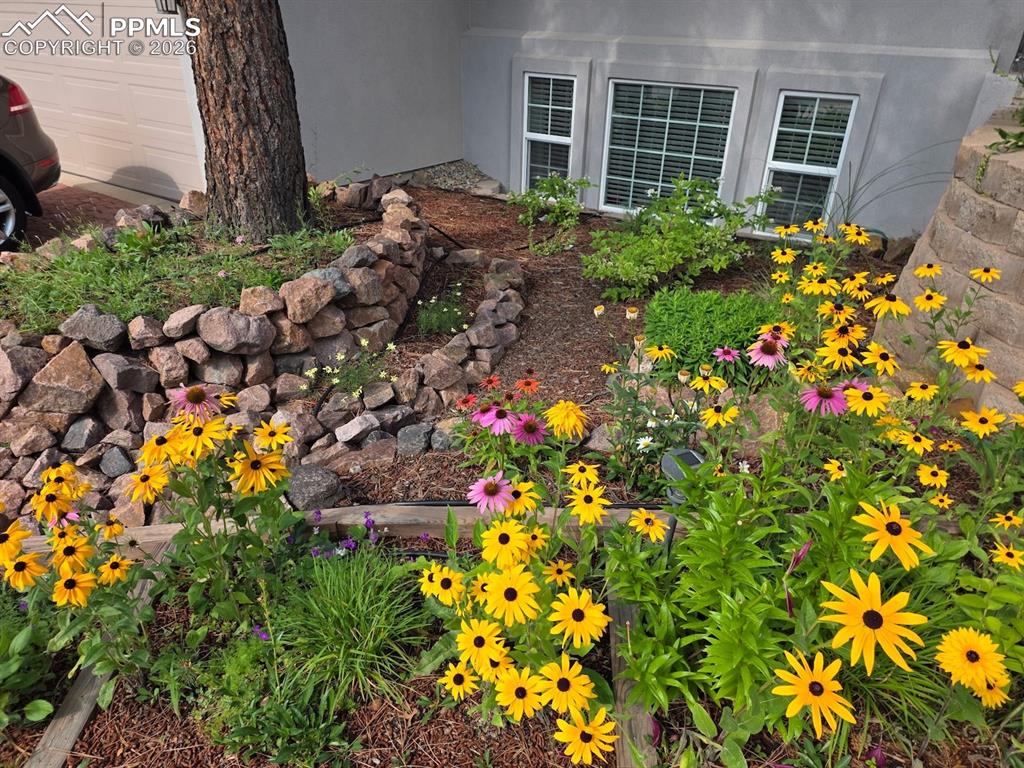 6020 Castlewood Lane Colorado Springs CO 80918