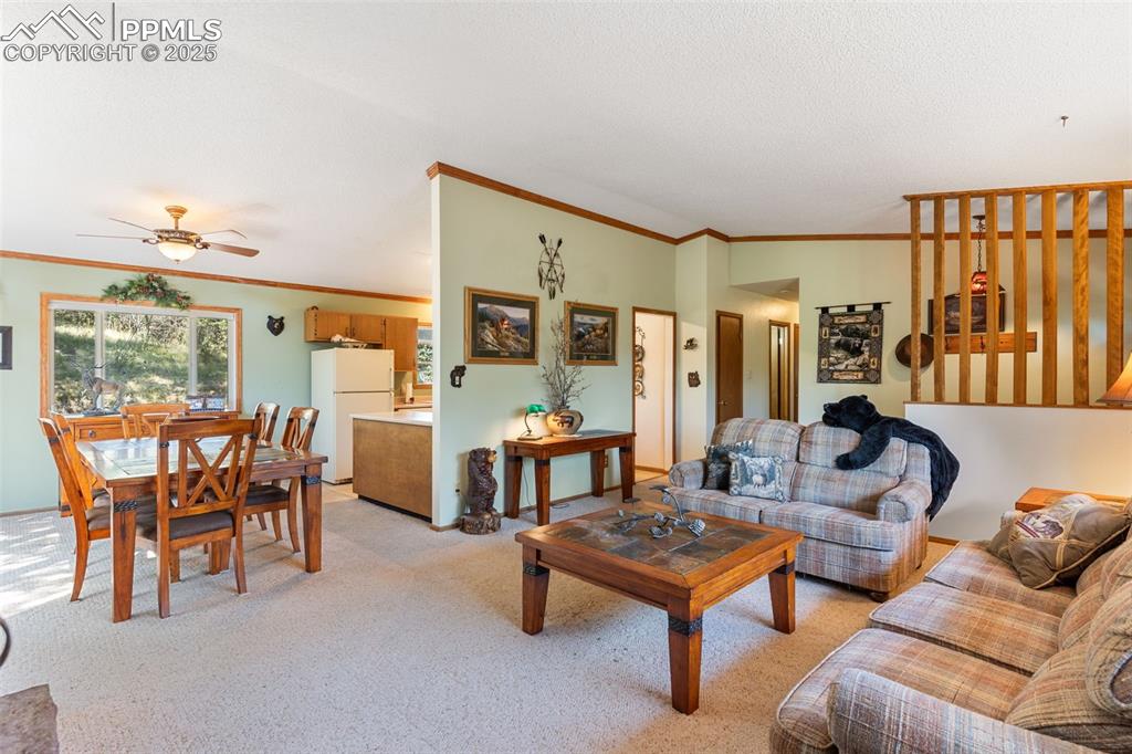 5580 Moosa Road Cascade CO 80809