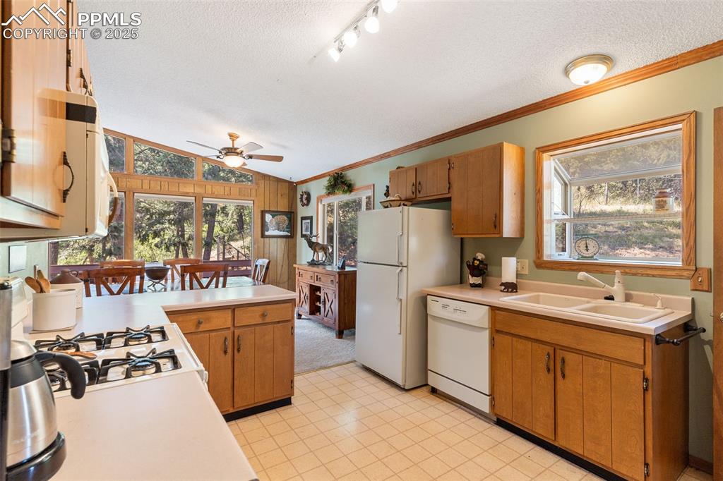 5580 Moosa Road Cascade CO 80809