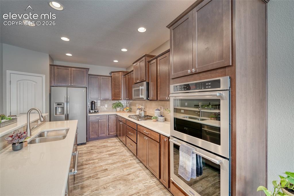 5296 Mount Cutler Court Colorado Springs CO 80924
