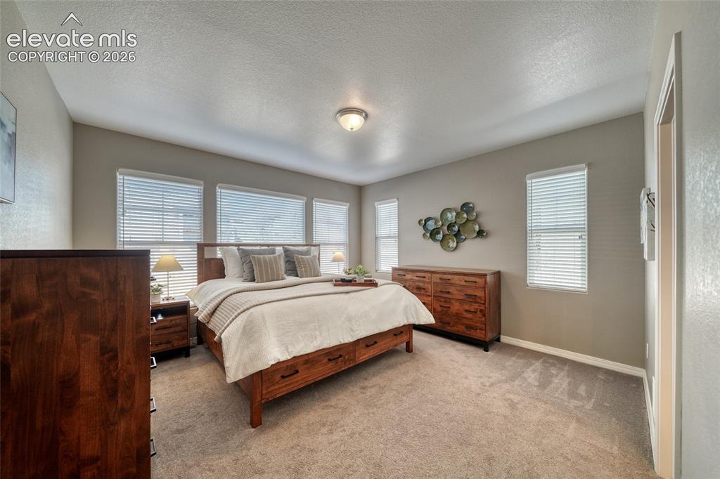 5296 Mount Cutler Court Colorado Springs CO 80924
