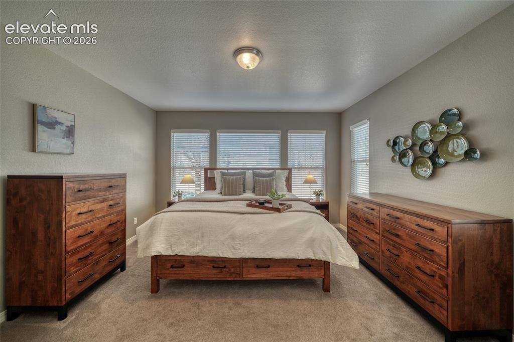 5296 Mount Cutler Court Colorado Springs CO 80924