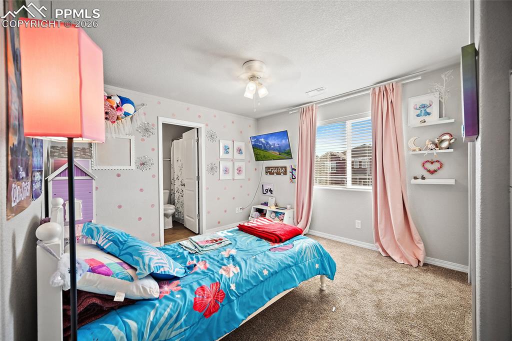 7350 Coppermine Court Fountain CO 80817