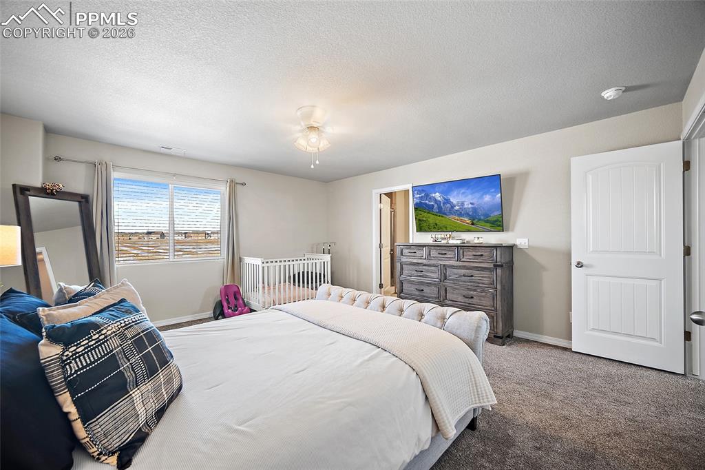 7350 Coppermine Court Fountain CO 80817