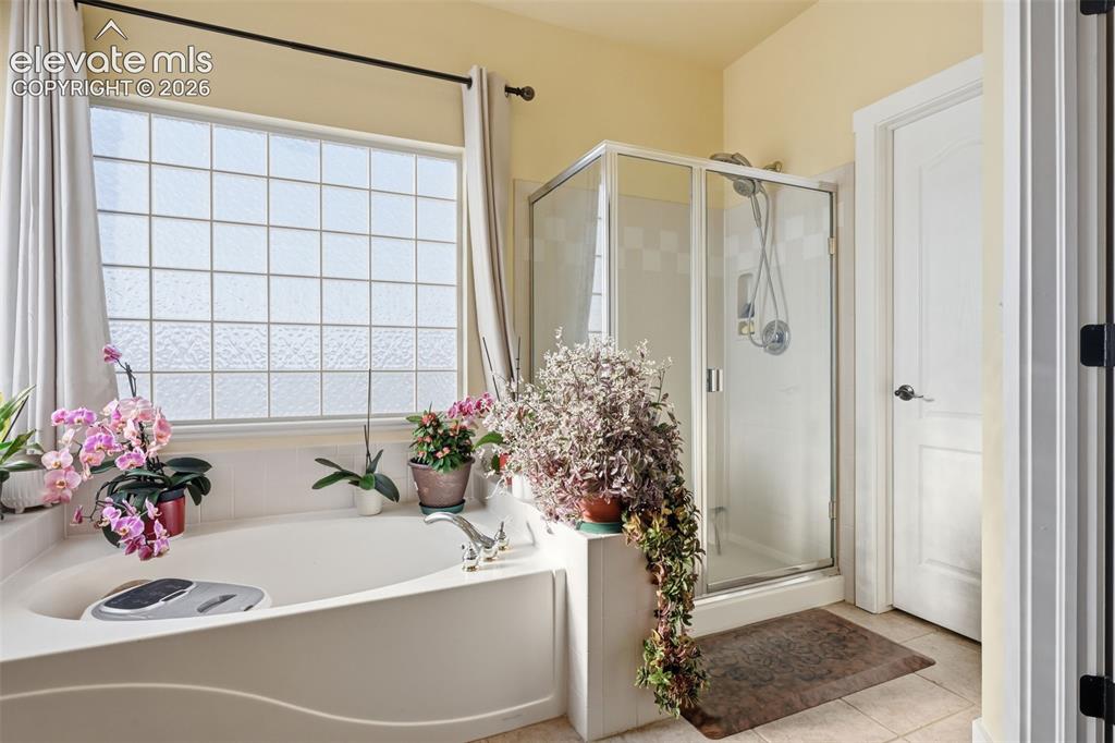 1023 Whistler Hollow Drive Colorado Springs CO 80906