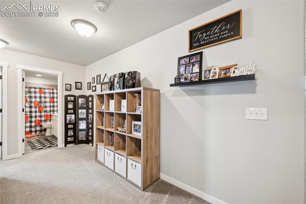 10055 Henman Terrace Peyton CO 80831