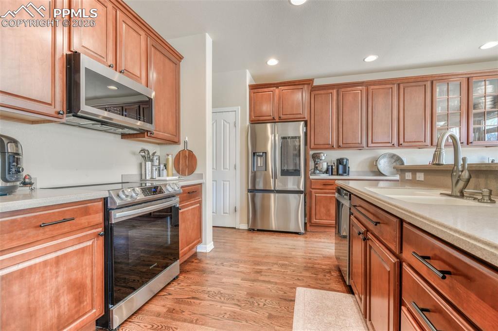 13867 Antelope Pass Place Colorado Springs CO 80921