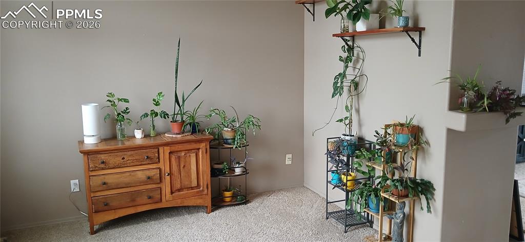 6680 Kari Court Colorado Springs CO 80915