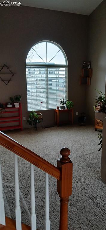 6680 Kari Court Colorado Springs CO 80915
