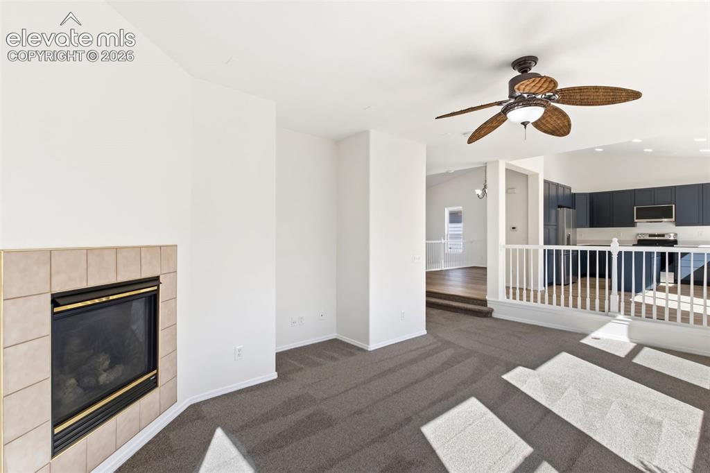 14181 Petrel Drive Colorado Springs CO 80921
