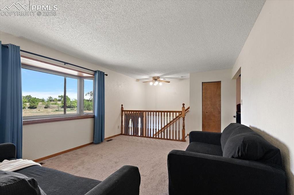 1585 Luna Vista Street Colorado Springs CO 80911