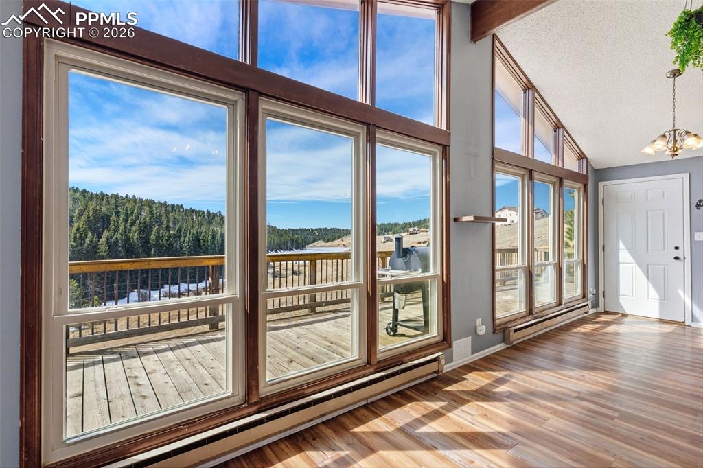 178 Cottonwood Lake Drive Divide CO 80814