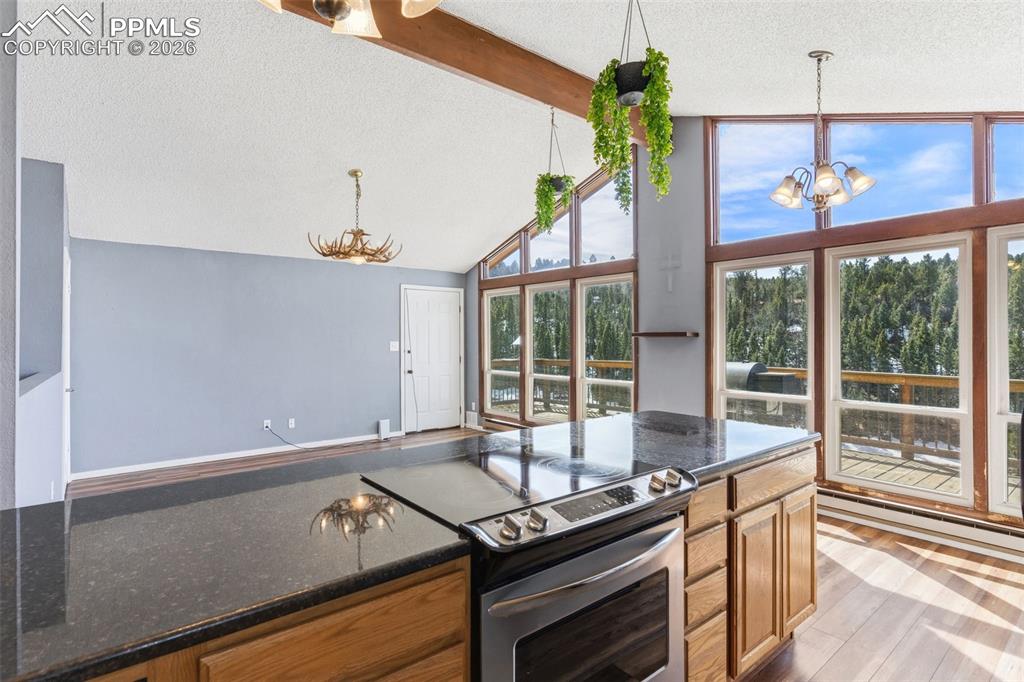 178 Cottonwood Lake Drive Divide CO 80814