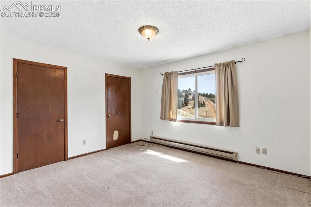 178 Cottonwood Lake Drive Divide CO 80814