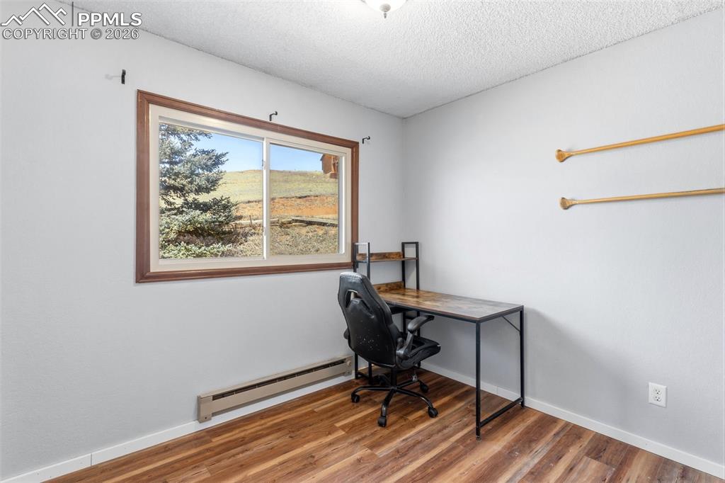 178 Cottonwood Lake Drive Divide CO 80814
