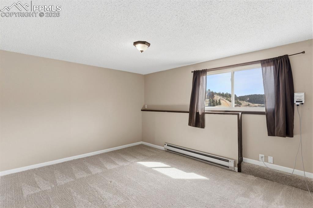 178 Cottonwood Lake Drive Divide CO 80814