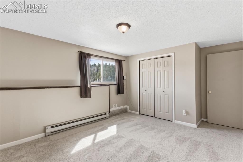 178 Cottonwood Lake Drive Divide CO 80814