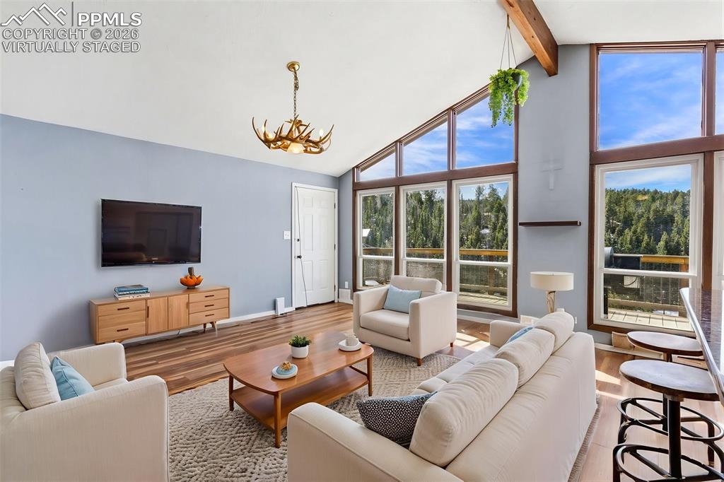 178 Cottonwood Lake Drive Divide CO 80814