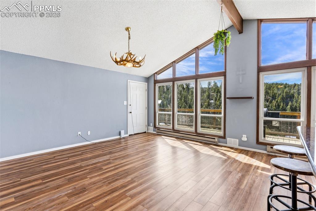 178 Cottonwood Lake Drive Divide CO 80814