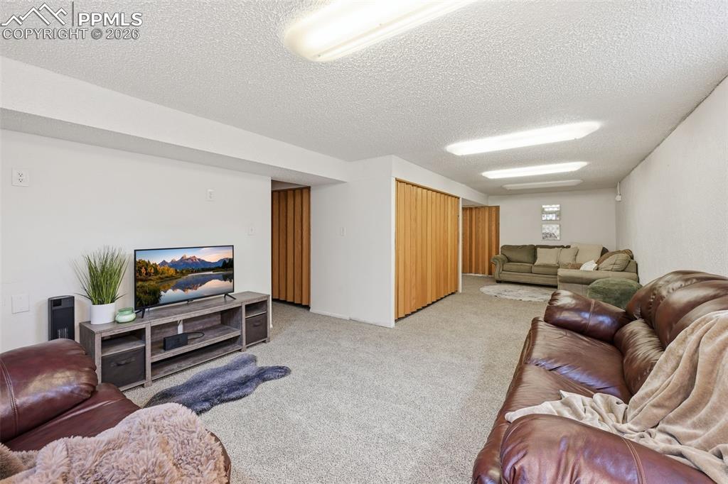 137 Mcshane Place Monument CO 80132