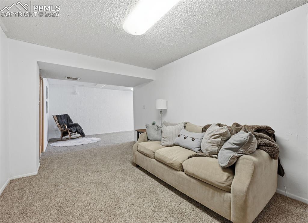 137 Mcshane Place Monument CO 80132