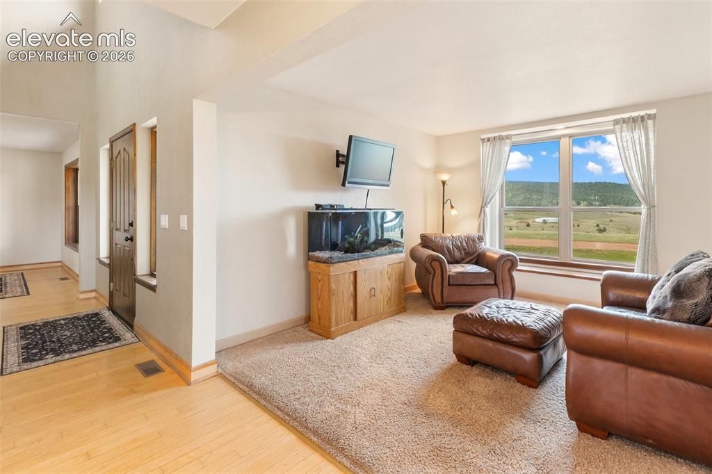 23311 S Highway 67 Divide CO 80814