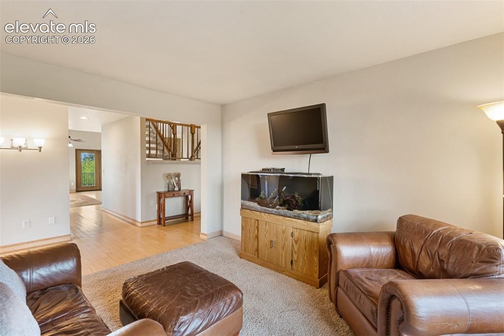 23311 S Highway 67 Divide CO 80814