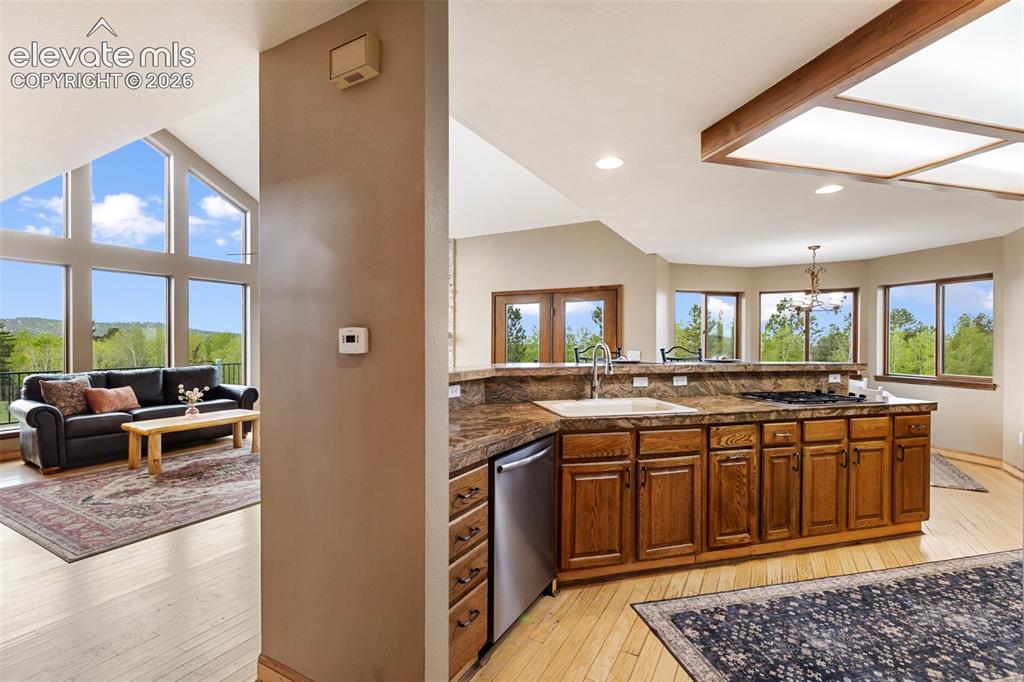 23311 S Highway 67 Divide CO 80814