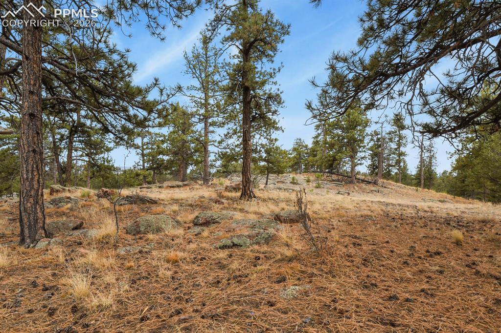 957 Arapahoe Drive Florissant CO 80816