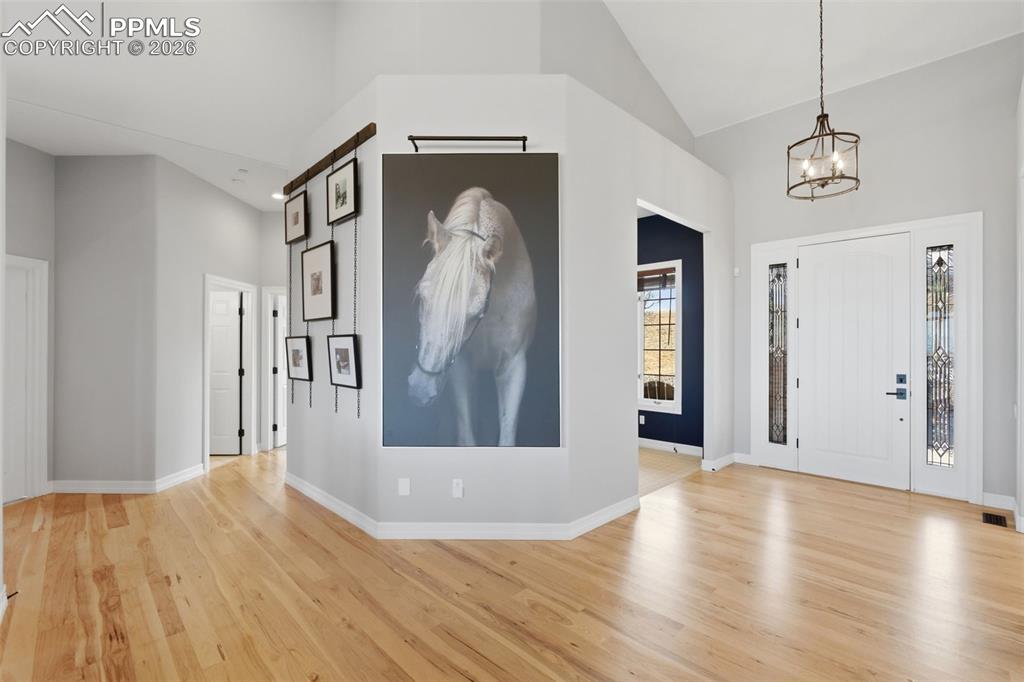 2455 Marlin Way Castle Rock CO 80109