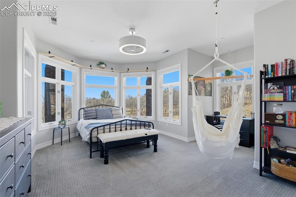 2455 Marlin Way Castle Rock CO 80109