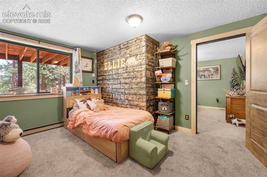 153 Arrowrock Circle Florissant CO 80816