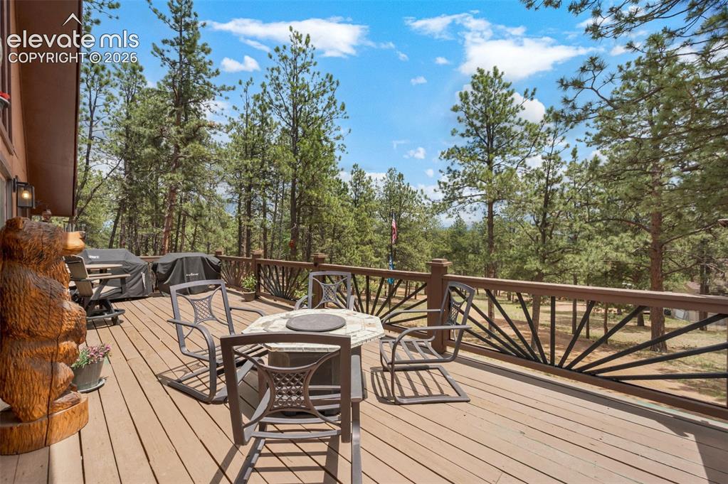153 Arrowrock Circle Florissant CO 80816