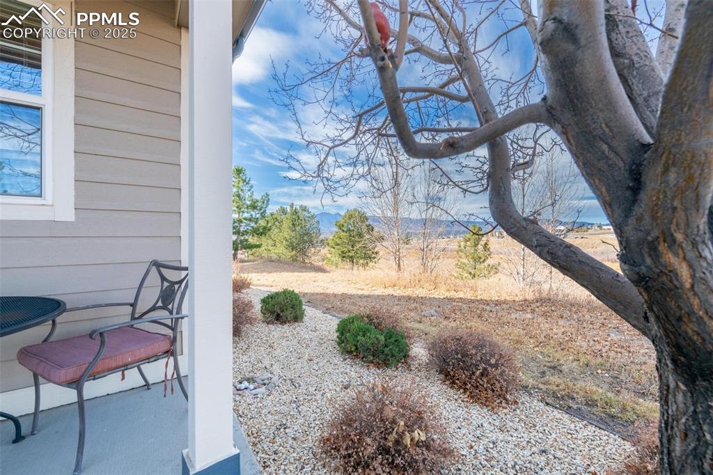 1890 Wildwood Pass Drive Colorado Springs CO 80921