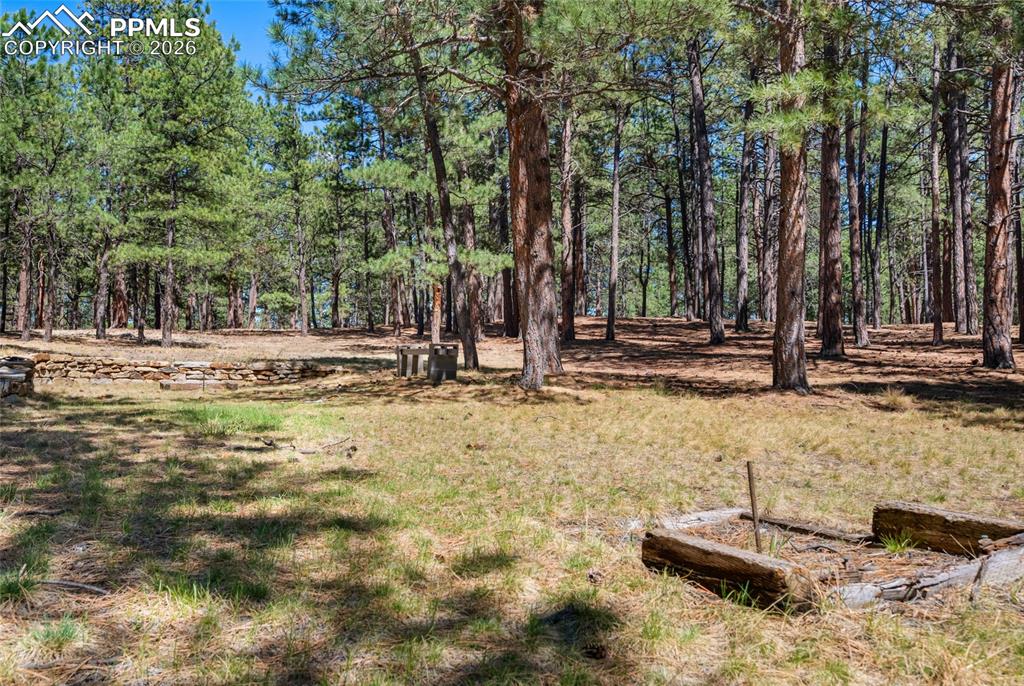 19665 Desparado Drive Colorado Springs CO 80908