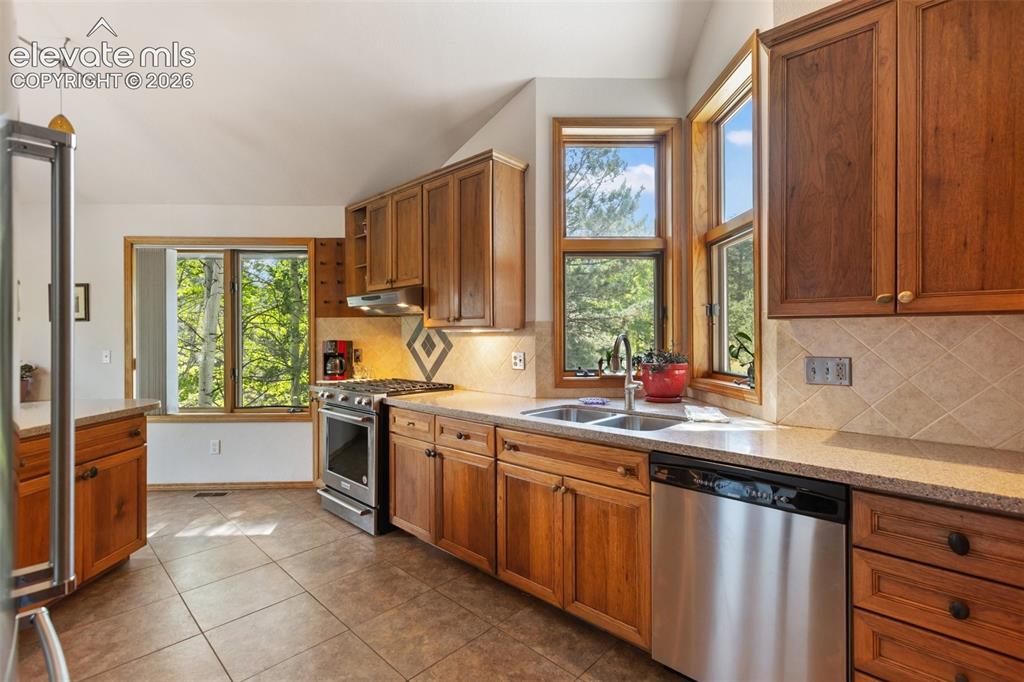 945 Sun Valley Drive Woodland Park CO 80863