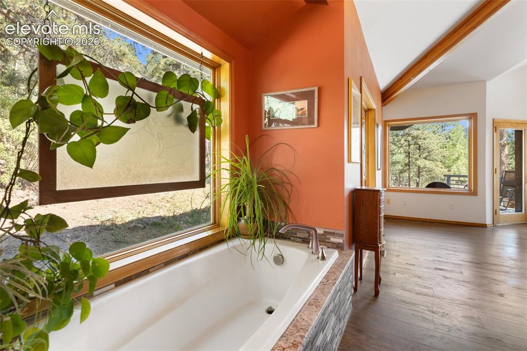 945 Sun Valley Drive Woodland Park CO 80863