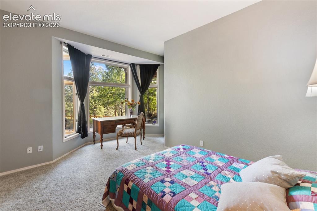 945 Sun Valley Drive Woodland Park CO 80863