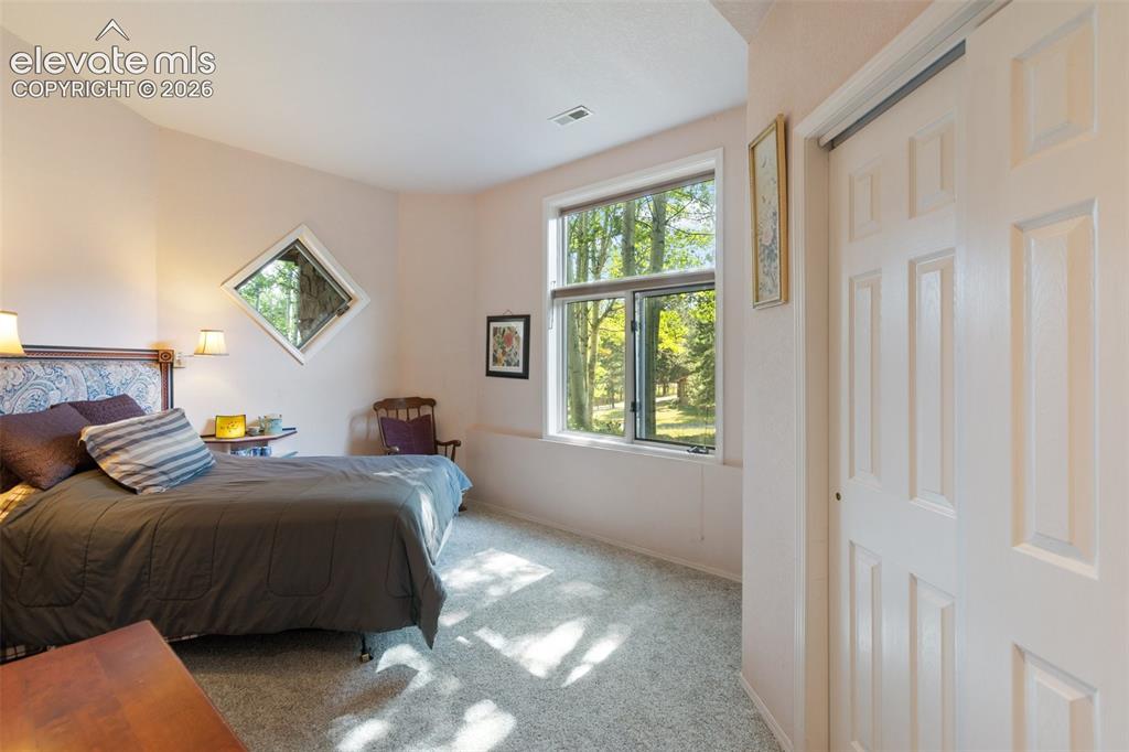 945 Sun Valley Drive Woodland Park CO 80863