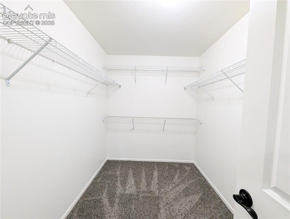 6389 San Mateo Drive Colorado Springs CO 80911