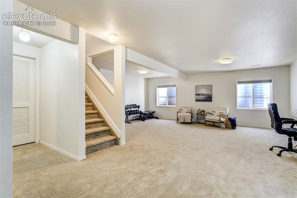 7326 Allens Park Drive Colorado Springs CO 80922