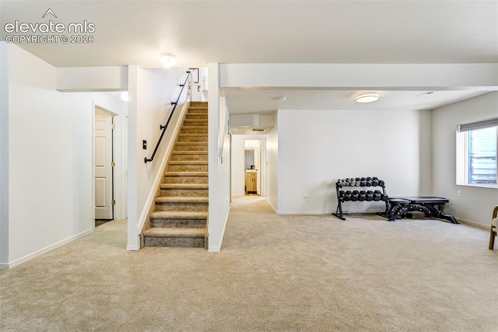 7326 Allens Park Drive Colorado Springs CO 80922
