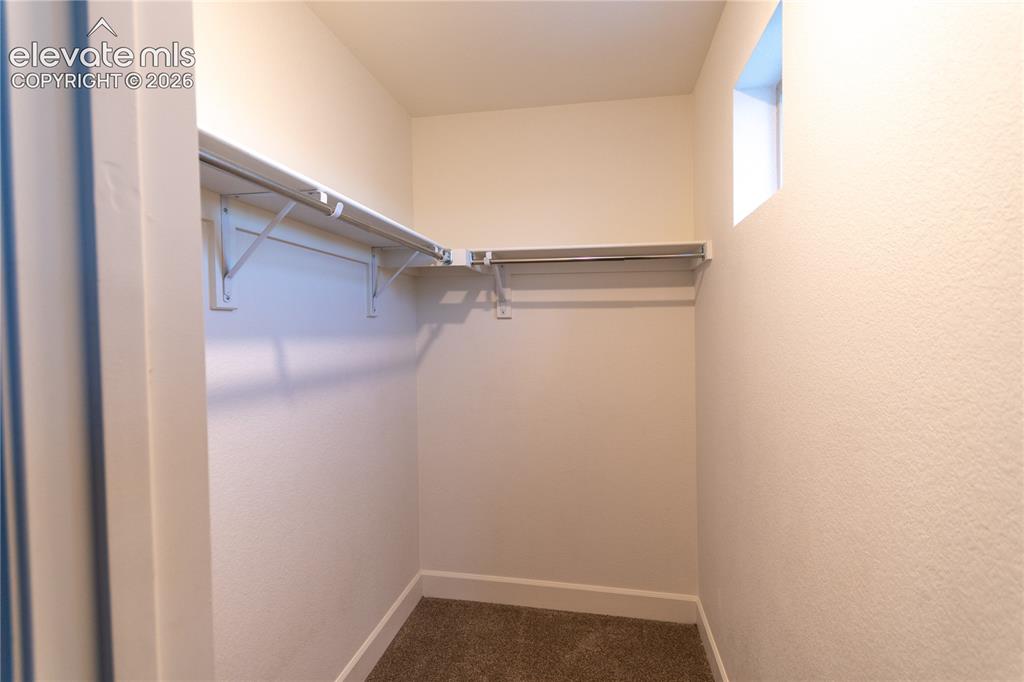 7138 Sedgerock Lane Colorado Springs CO 80927