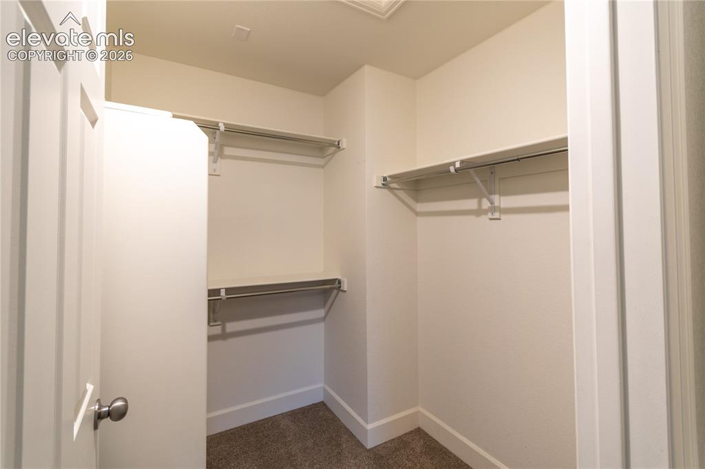 7138 Sedgerock Lane Colorado Springs CO 80927