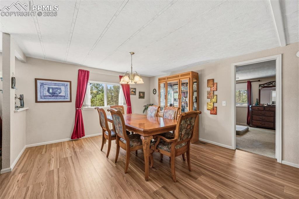 1299 Pikes Peak Drive Florissant CO 80816