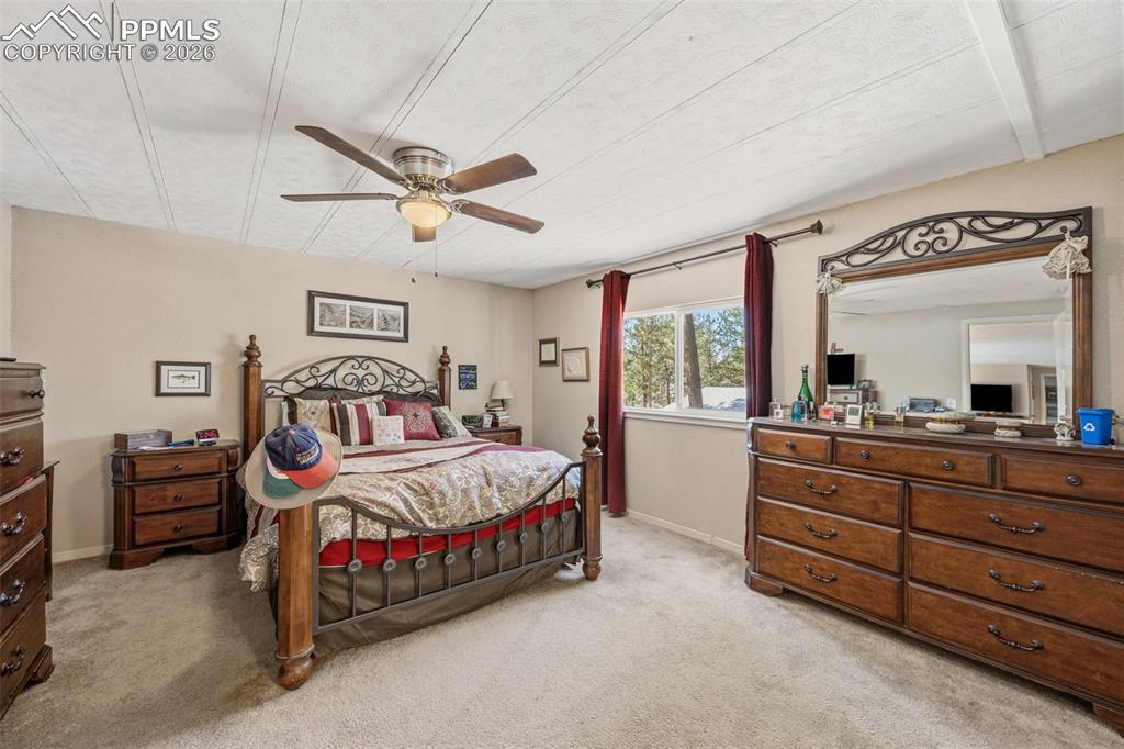 1299 Pikes Peak Drive Florissant CO 80816