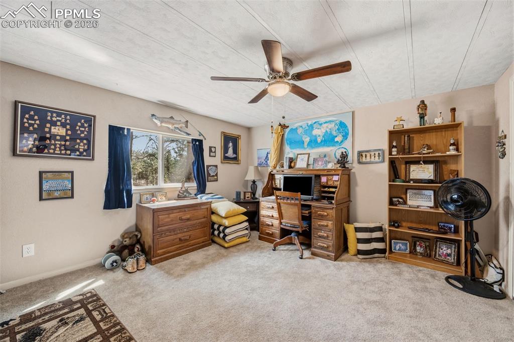 1299 Pikes Peak Drive Florissant CO 80816